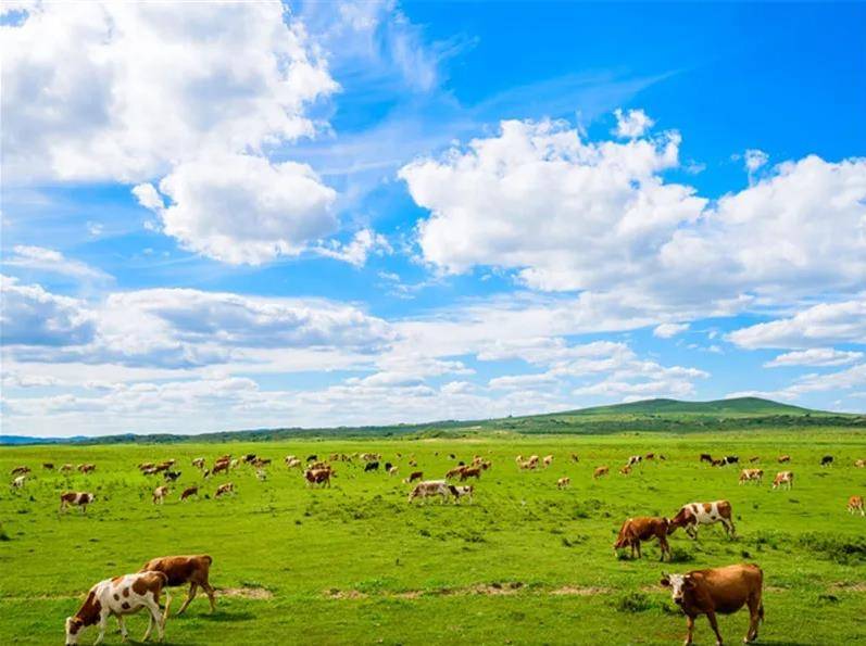 内蒙古，广袤草原的情怀之旅