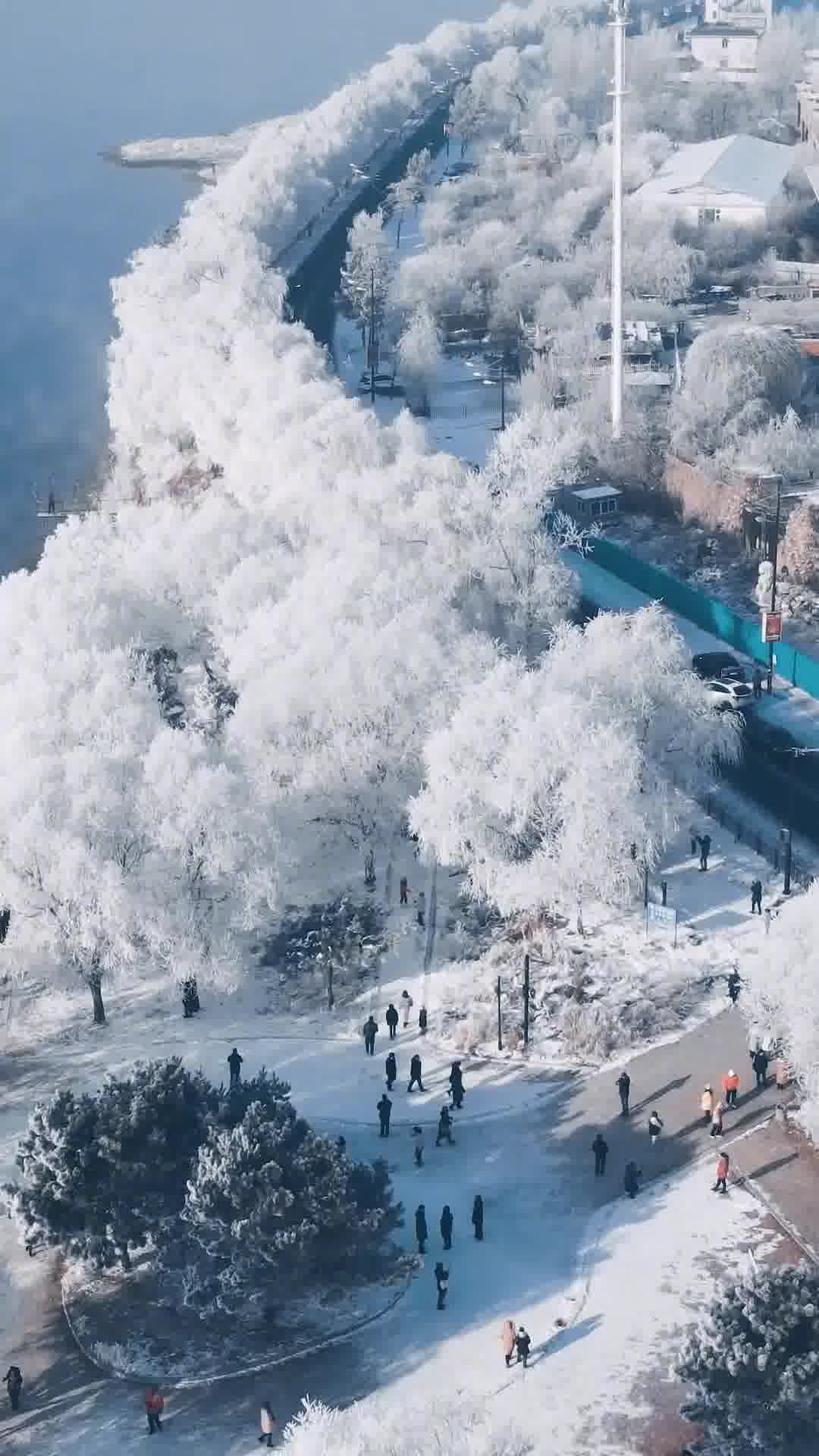吉林技能学习攻略，初学者必看步骤详解
